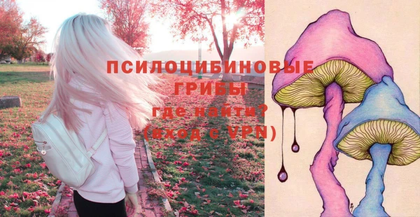 трава Балахна