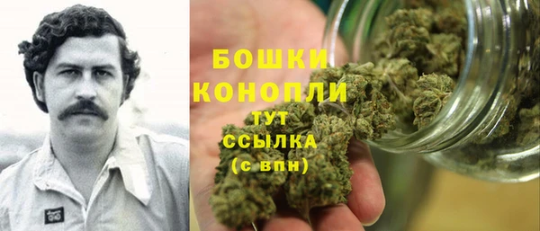 трава Балахна
