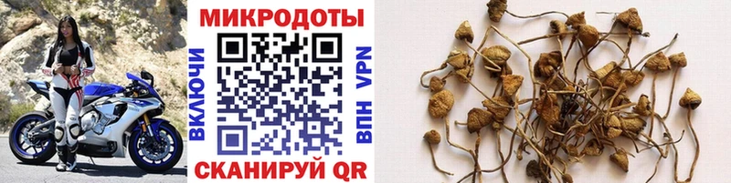 Галлюциногенные грибы прущие грибы  kraken зеркало  Туринск 