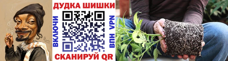 сколько стоит  Туринск  МЕГА ONION  Бошки марихуана THC 21% 